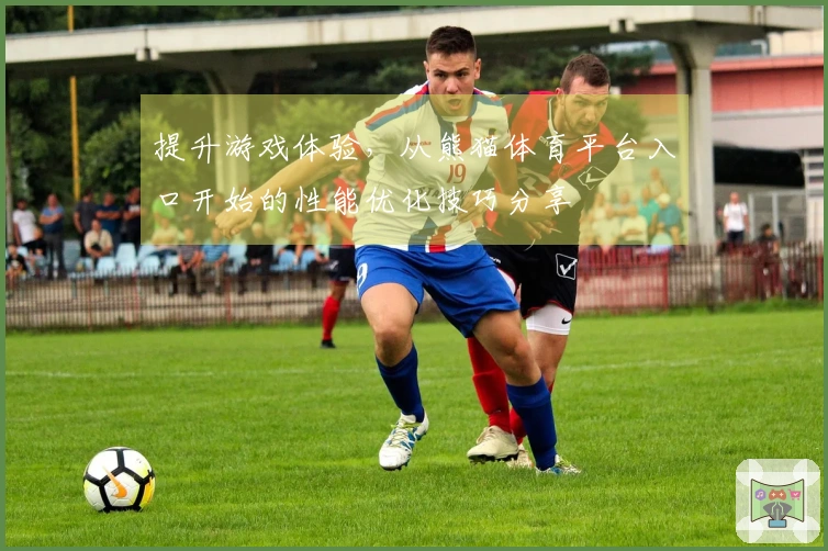 提升游戏体验，从熊猫体育平台入口开始的性能优化技巧分享