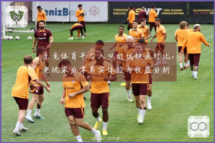 乐竞体育平台入口的优缺点对比，老玩家分享真实体验与收益分析